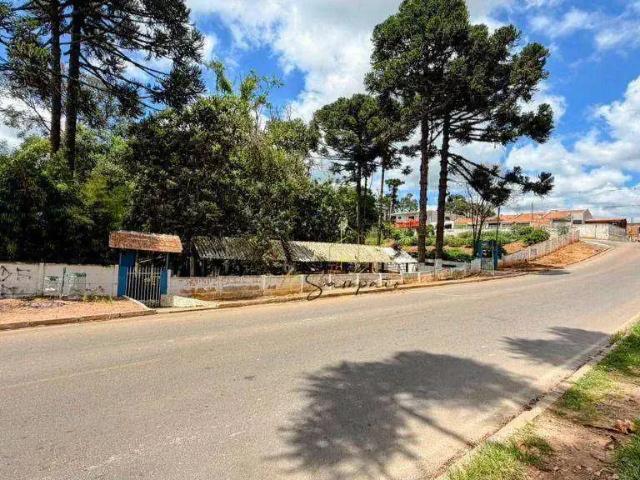 Terreno venda em Região Geográfica Imediata de Curitiba, Região Metropolitana de Curitiba