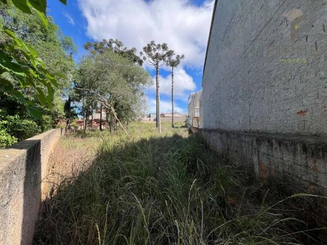 Terreno venda em Santa Terezinha, Fazenda Rio Grande