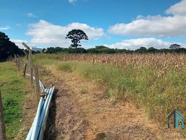 Terreno venda em Região Geográfica Imediata de Curitiba, Região Metropolitana de Curitiba