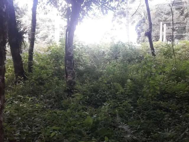 Terreno venda em Região Geográfica Imediata de Curitiba, Região Metropolitana de Curitiba