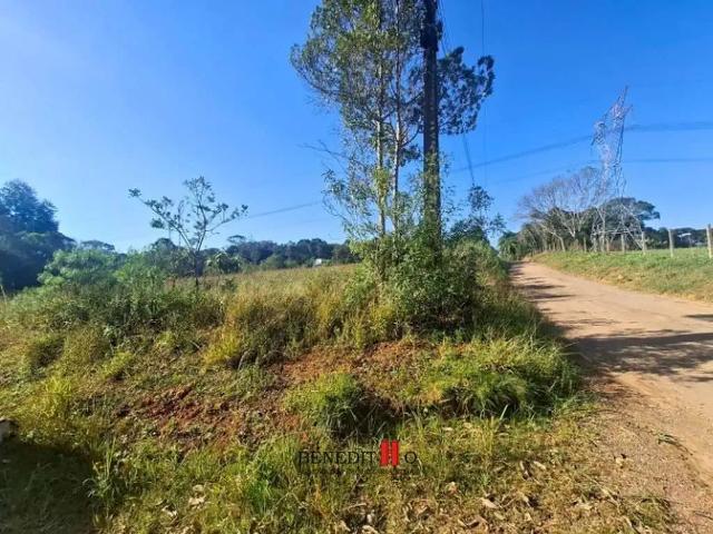 Terreno venda em Região Geográfica Imediata de Curitiba, Região Metropolitana de Curitiba