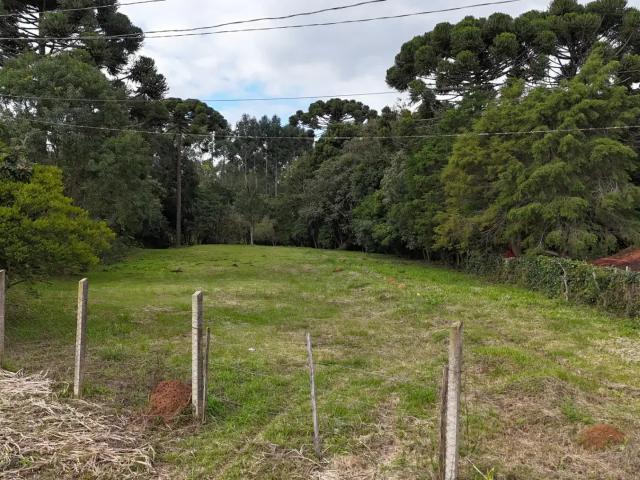Terreno venda em Região Geográfica Imediata de Curitiba, Região Metropolitana de Curitiba