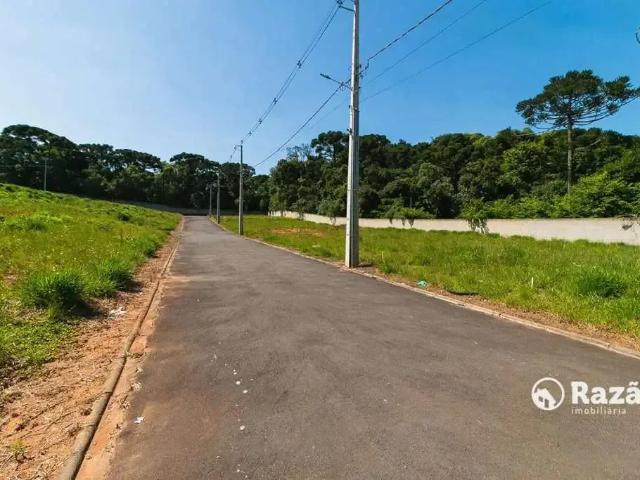 Terreno venda em Região Geográfica Imediata de Curitiba, Região Metropolitana de Curitiba