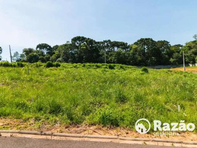 Terreno venda em Região Geográfica Imediata de Curitiba, Região Metropolitana de Curitiba