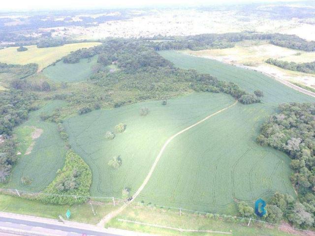 Terreno venda em Região Geográfica Imediata de Curitiba, Região Metropolitana de Curitiba