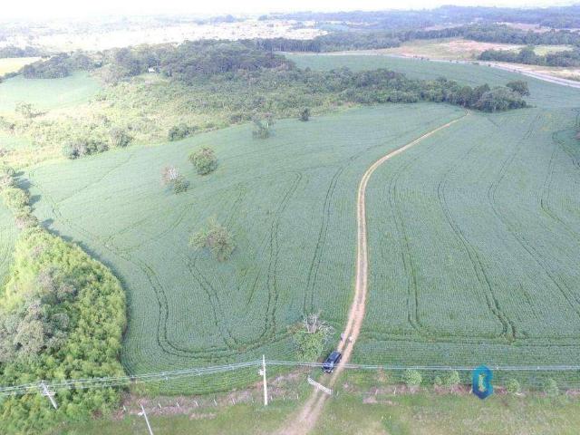 Terreno venda em Região Geográfica Imediata de Curitiba, Região Metropolitana de Curitiba