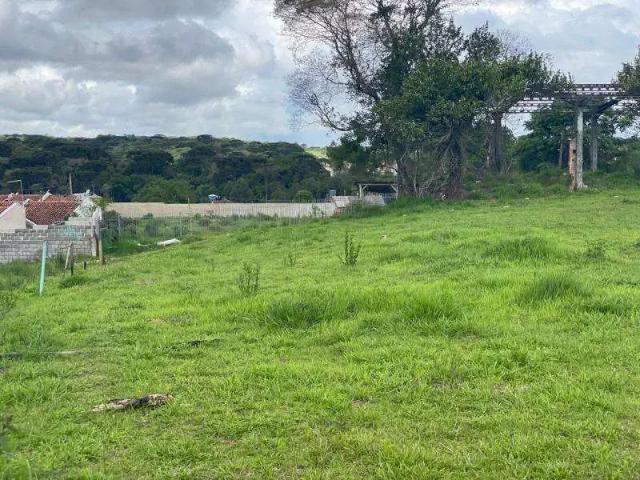 Terreno venda em Região Geográfica Imediata de Curitiba, Região Metropolitana de Curitiba
