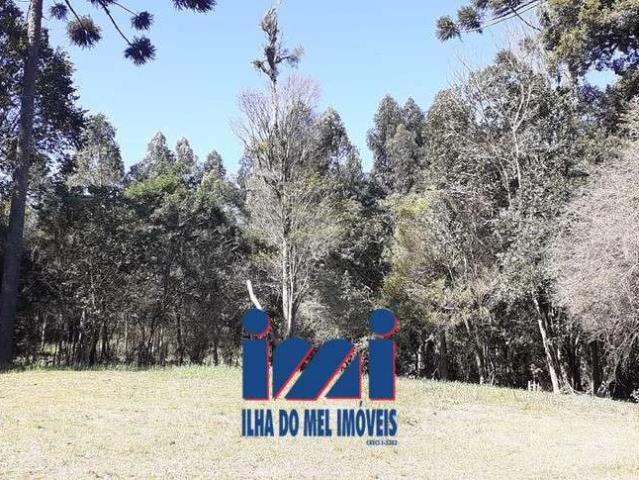 Terreno venda em Fazenda Rio Grande, Região Geográfica Intermediária de Curitiba
