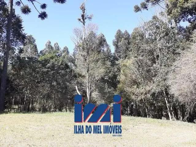 Terreno venda em Região Geográfica Imediata de Curitiba, Região Metropolitana de Curitiba