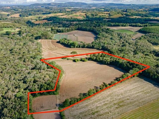 Terreno venda em Veneza, Fazenda Rio Grande