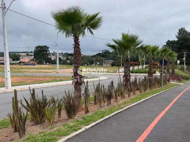 Terreno venda em Região Geográfica Imediata de Curitiba, Região Metropolitana de Curitiba