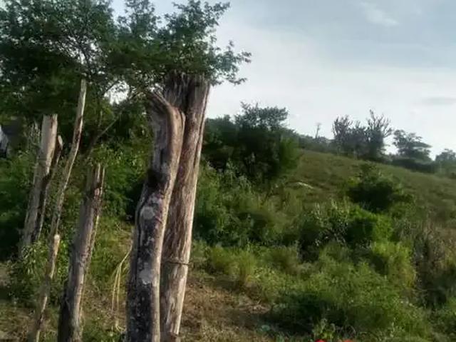 Terreno venda em Região Geográfica Imediata de Feira de Santana, Região Metropolitana de Feira de Santana