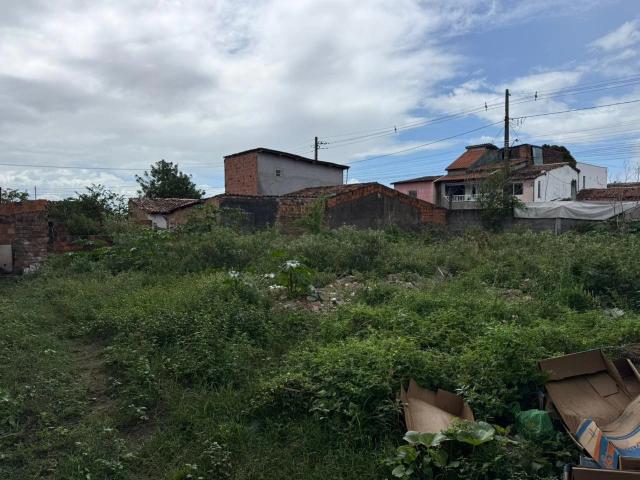 Terreno venda em Muchila, Feira de Santana
