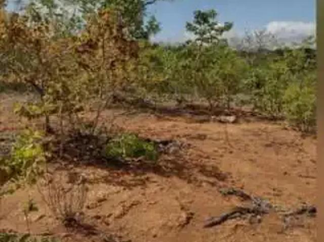 Terreno venda em Região Geográfica Imediata de Curvelo, Felixlândia