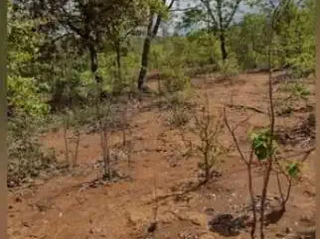 Terreno venda em Região Geográfica Imediata de Curvelo, Felixlândia