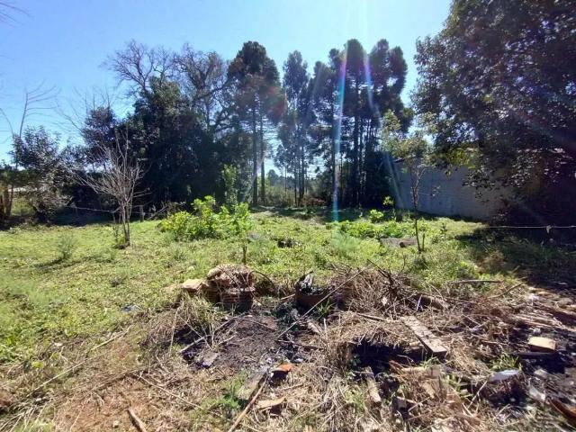 Terreno venda em Região Geográfica Imediata de Irati, Fernandes Pinheiro
