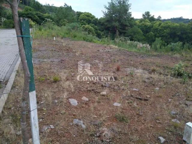Terreno venda em Região Geográfica Imediata de Caxias do Sul, Flores da Cunha