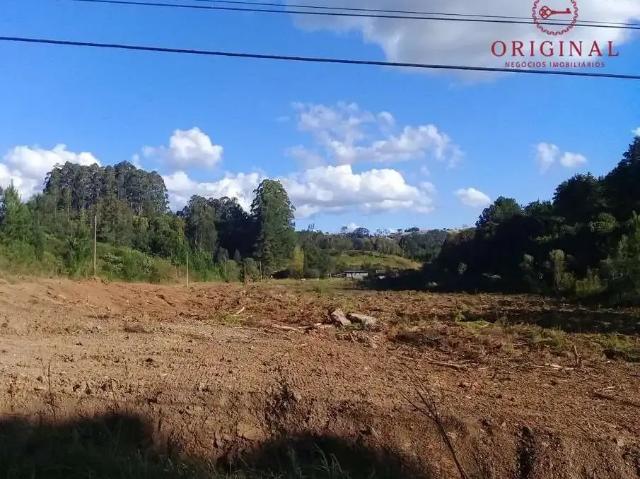 Terreno venda em Região Geográfica Imediata de Caxias do Sul, Flores da Cunha