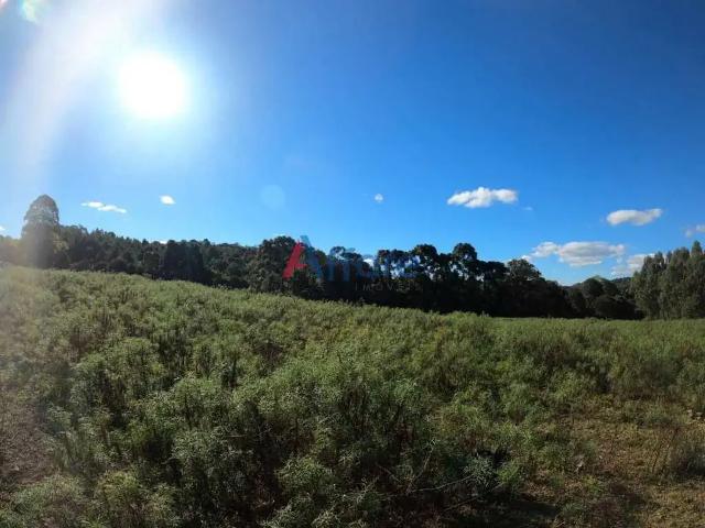 Terreno venda em Região Geográfica Imediata de Caxias do Sul, Flores da Cunha