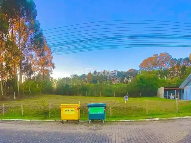 Terreno venda em Região Geográfica Imediata de Caxias do Sul, Flores da Cunha