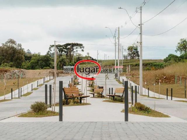 Terreno venda em Região Geográfica Imediata de Caxias do Sul, Flores da Cunha
