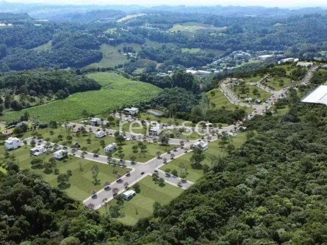 Terreno venda em Região Geográfica Imediata de Caxias do Sul, Flores da Cunha