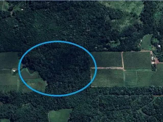 Terreno venda em Região Geográfica Imediata de Caxias do Sul, Flores da Cunha
