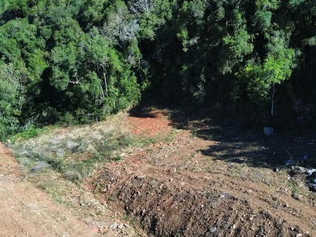 Terreno venda em Região Geográfica Imediata de Caxias do Sul, Flores da Cunha