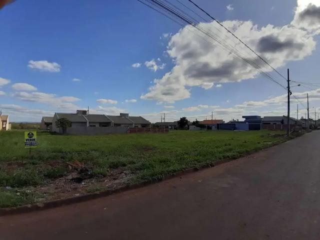 Terreno venda em Floresta, Cascavel