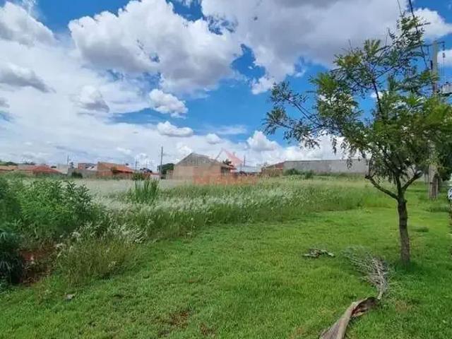 Terreno venda em Nova Floresta, Região Nordeste
