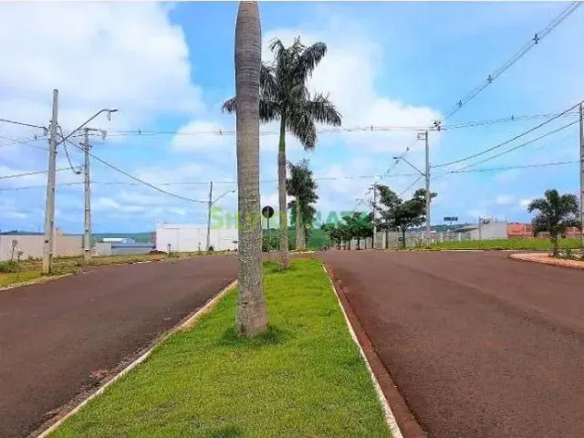Terreno venda em Floresta, Região Geográfica Intermediária de Maringá