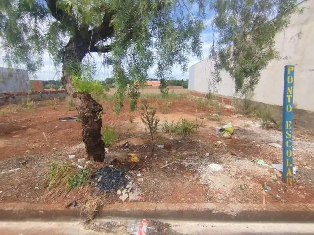 Terreno venda em Região Geográfica Imediata de Maringá, Floresta
