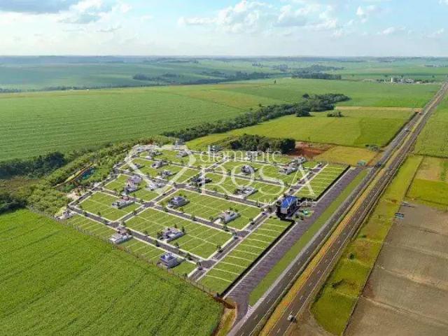 Terreno venda em Região Geográfica Imediata de Maringá, Floresta
