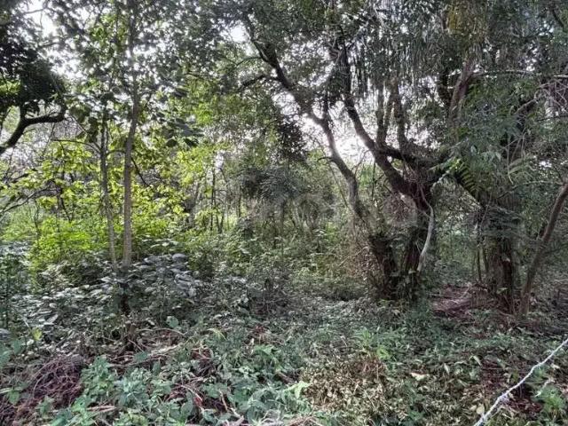Terreno venda em Região Geográfica Imediata de Florianópolis, Desterro