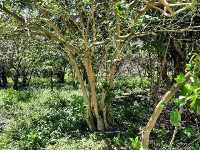 Terreno venda em Região Geográfica Imediata de Florianópolis, Desterro