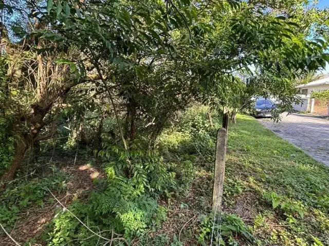 Terreno venda em Região Geográfica Imediata de Florianópolis, Desterro