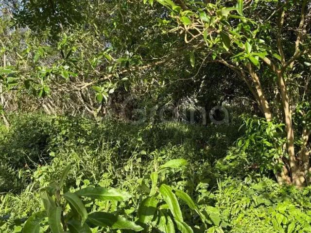 Terreno venda em Região Geográfica Imediata de Florianópolis, Desterro
