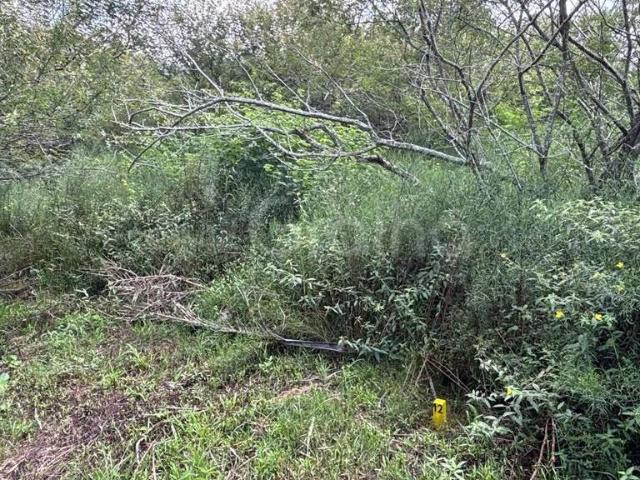 Terreno venda em Região Geográfica Imediata de Florianópolis, Desterro