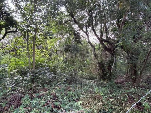 Terreno venda em Região Geográfica Imediata de Florianópolis, Desterro