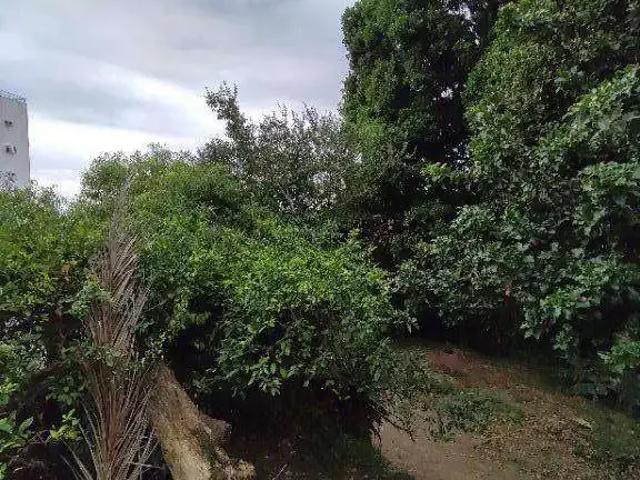 Terreno venda em Região Geográfica Imediata de Florianópolis, Desterro