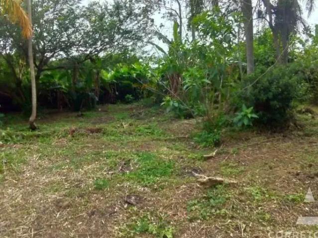 Terreno venda em Região Geográfica Imediata de Florianópolis, Desterro