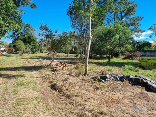 Terreno venda em Campeche Central, Florianópolis