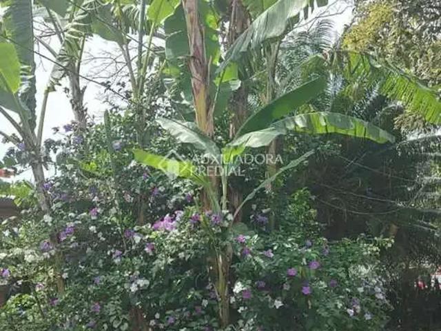 Terreno venda em Região Geográfica Imediata de Florianópolis, Desterro