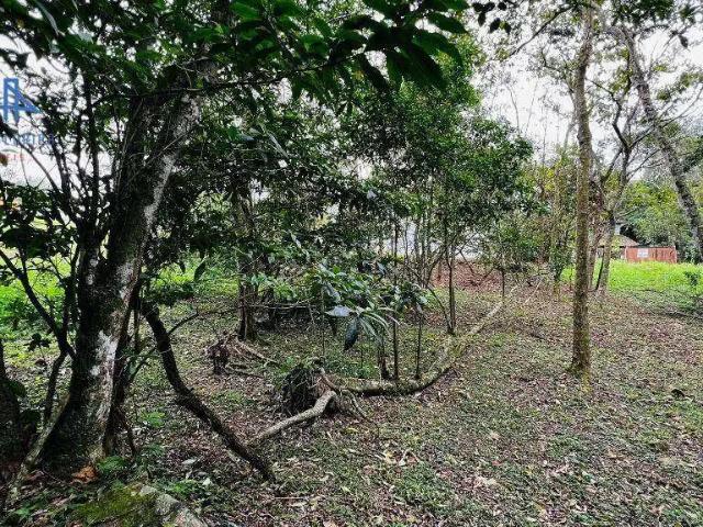Terreno venda em Região Geográfica Imediata de Florianópolis, Desterro