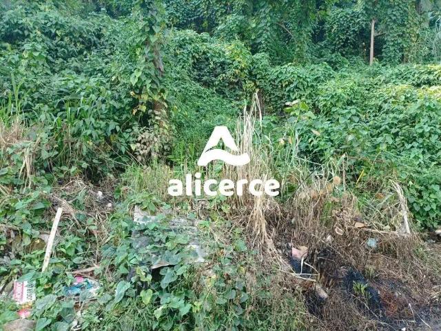 Terreno venda em Região Geográfica Imediata de Florianópolis, Desterro
