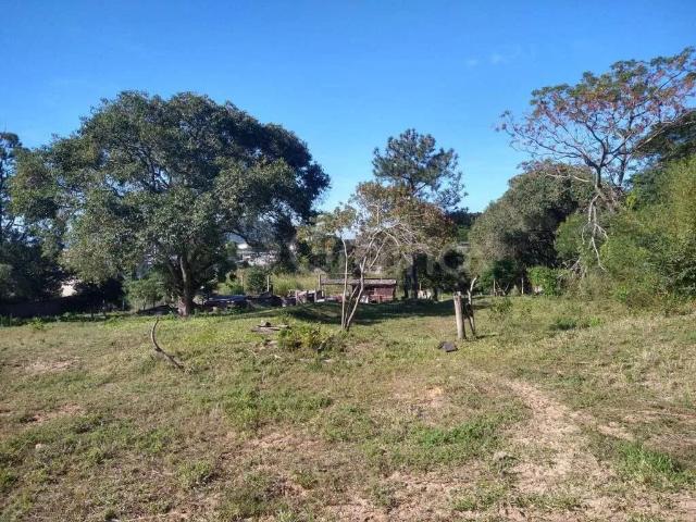 Terreno venda em Ingleses do Rio Vermelho, Florianópolis