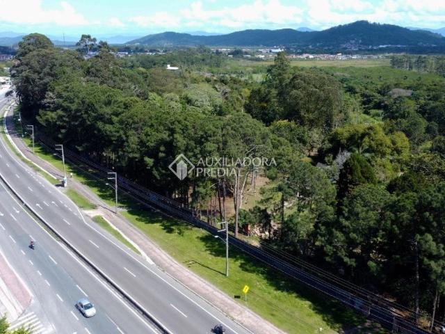 Terreno venda em Região Geográfica Imediata de Florianópolis, Desterro