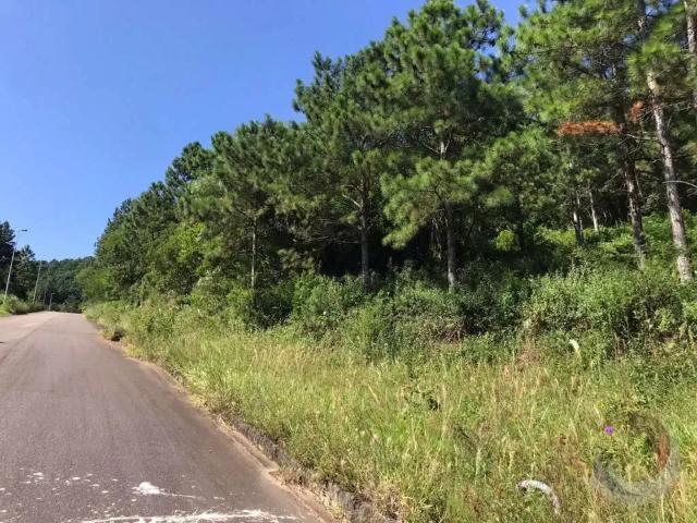 Terreno venda em Região Geográfica Imediata de Florianópolis, Desterro