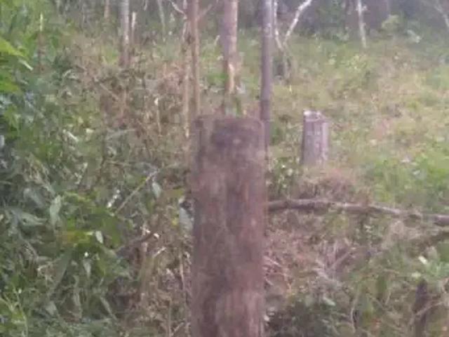 Terreno venda em Região Geográfica Imediata de Florianópolis, Desterro