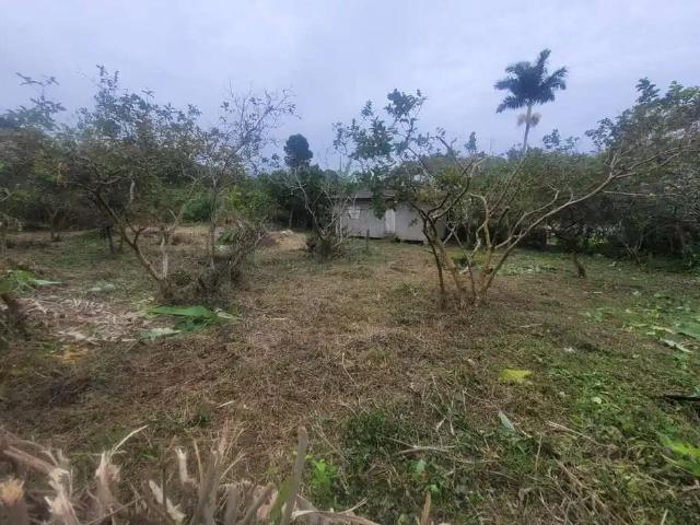 Terreno venda em Região Geográfica Imediata de Florianópolis, Desterro